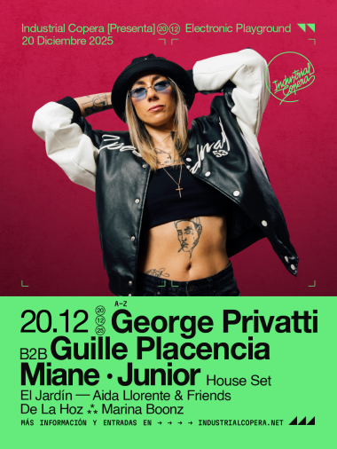 Electronic Playground