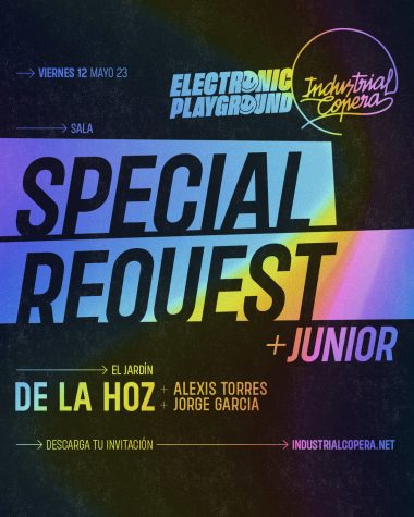 Electronic Playground